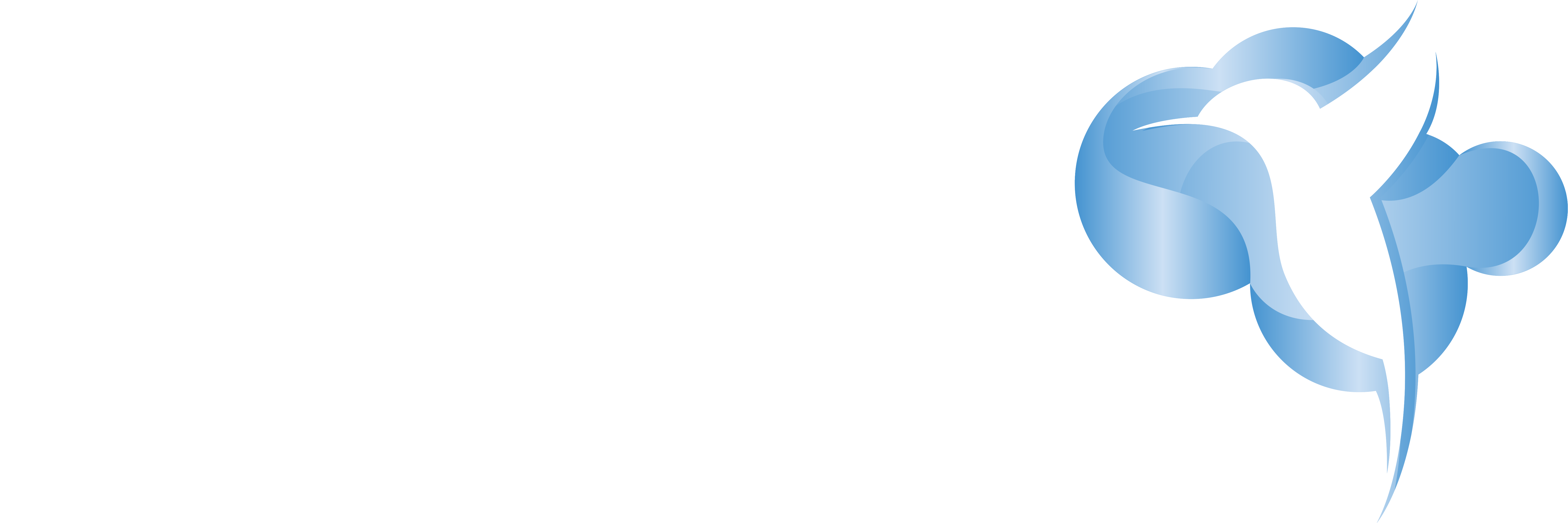 Hür Bilişim